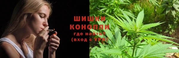 каннабис Аркадак