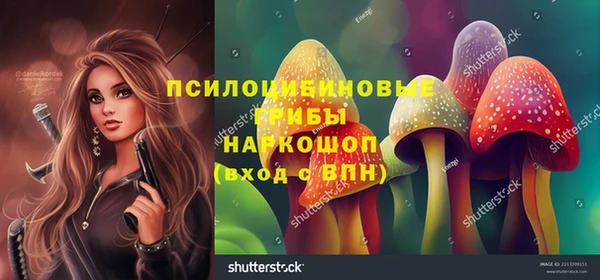 бошки Армянск